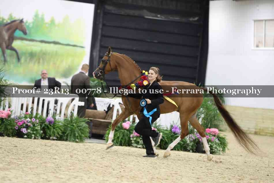 Proof Number 23R13_00778