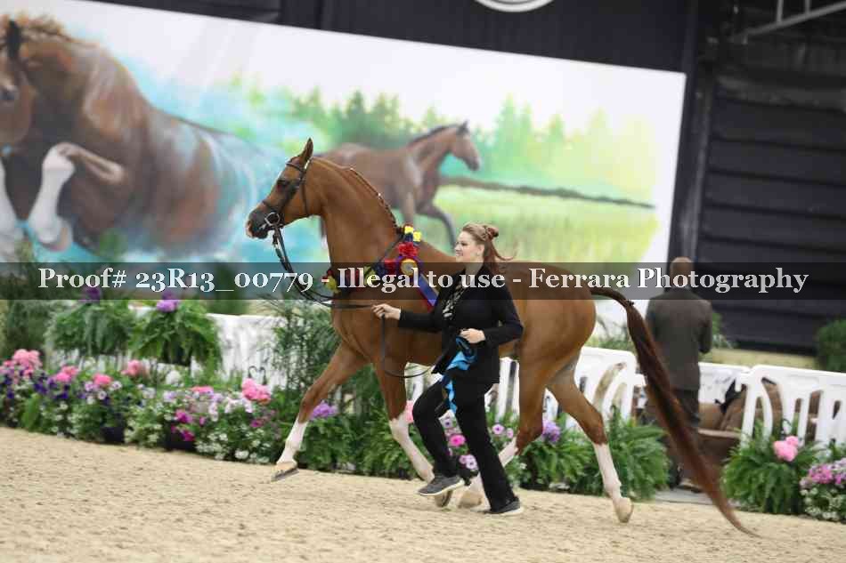 Proof Number 23R13_00779