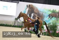 23R13_00780 thumbnail