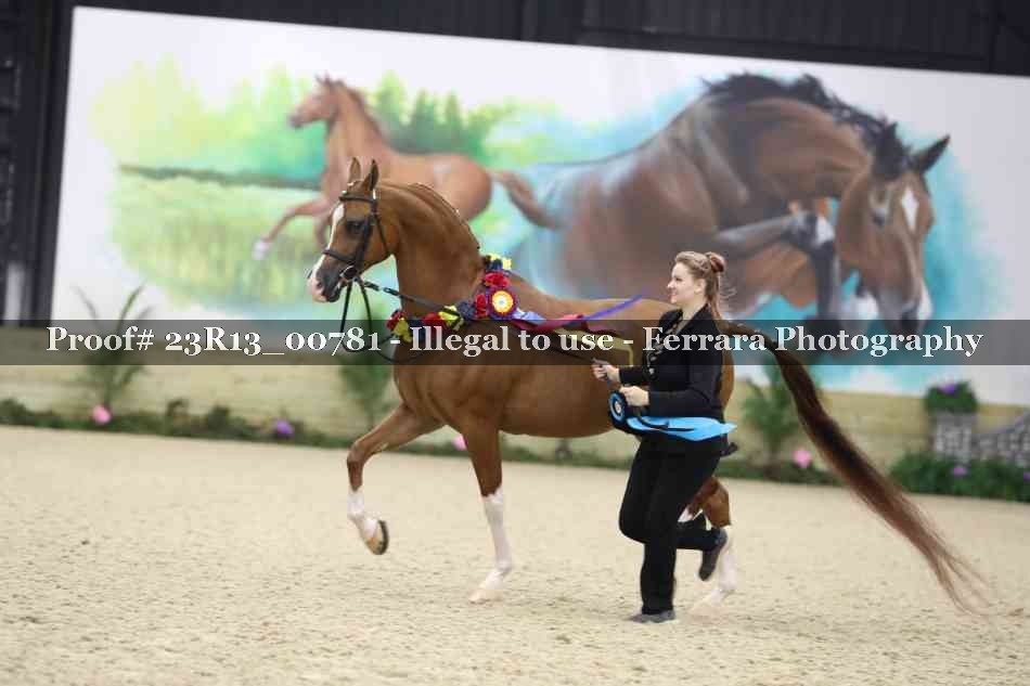 Proof Number 23R13_00781