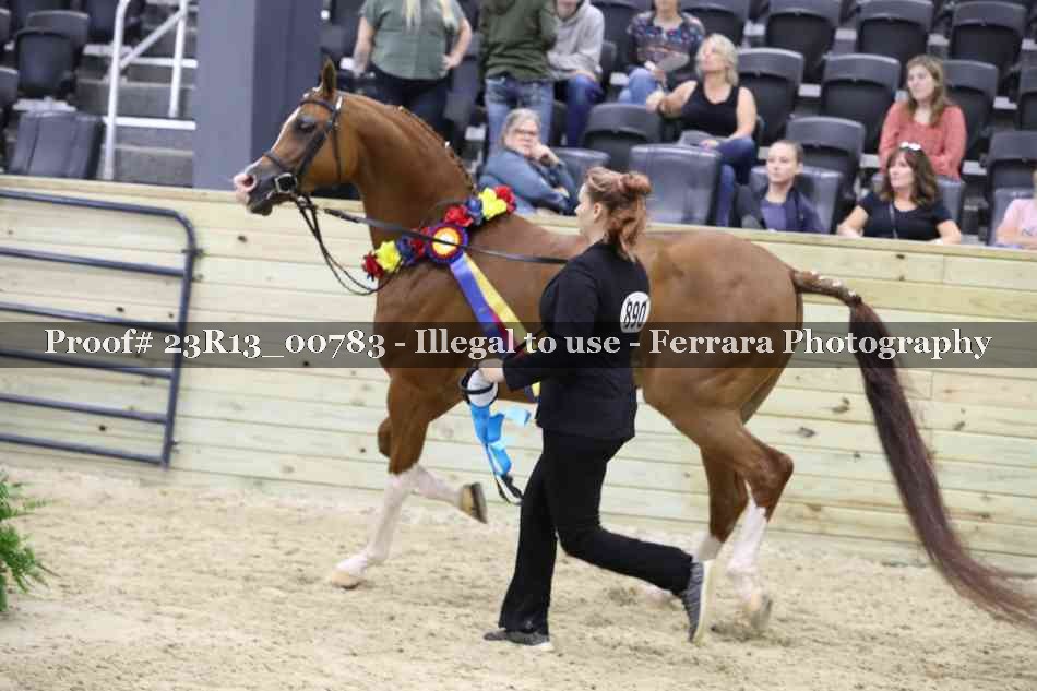 Proof Number 23R13_00783