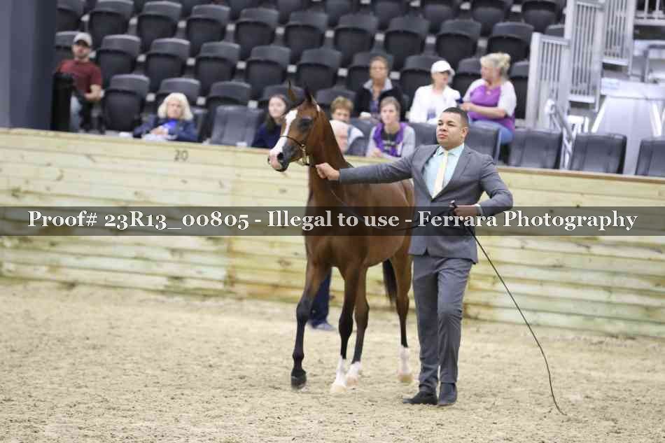 Proof Number 23R13_00805