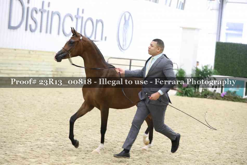 Proof Number 23R13_00818