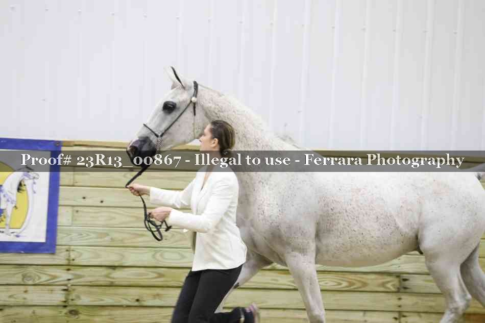Proof Number 23R13_00867
