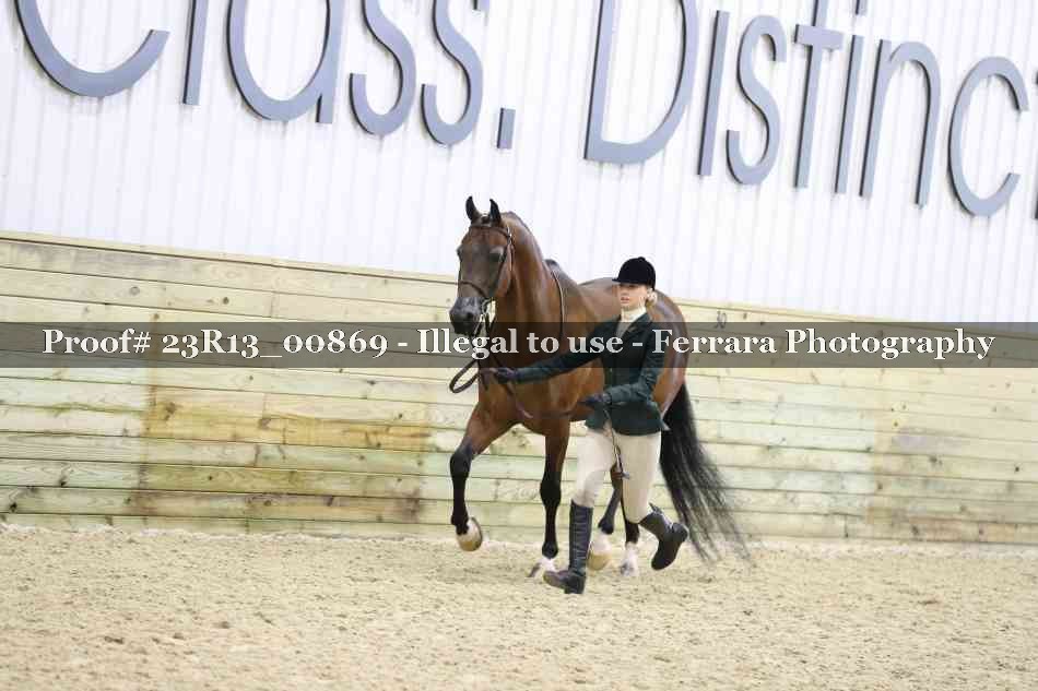 Proof Number 23R13_00869