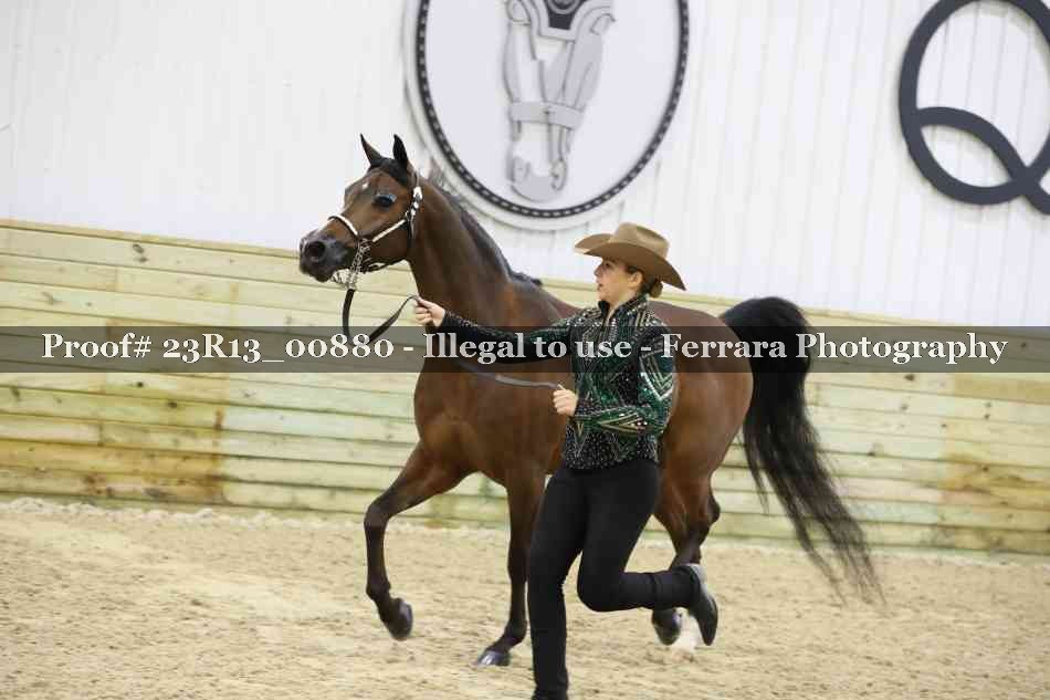 Proof Number 23R13_00880