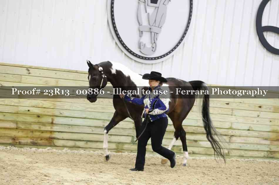 Proof Number 23R13_00886