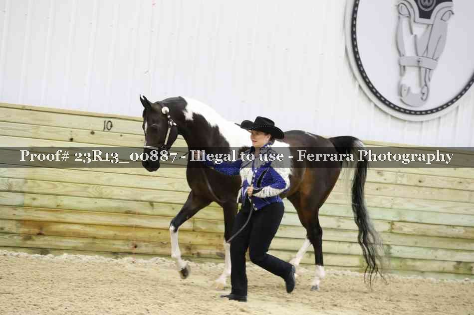 Proof Number 23R13_00887