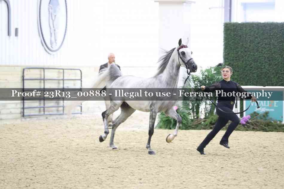Proof Number 23R13_00888