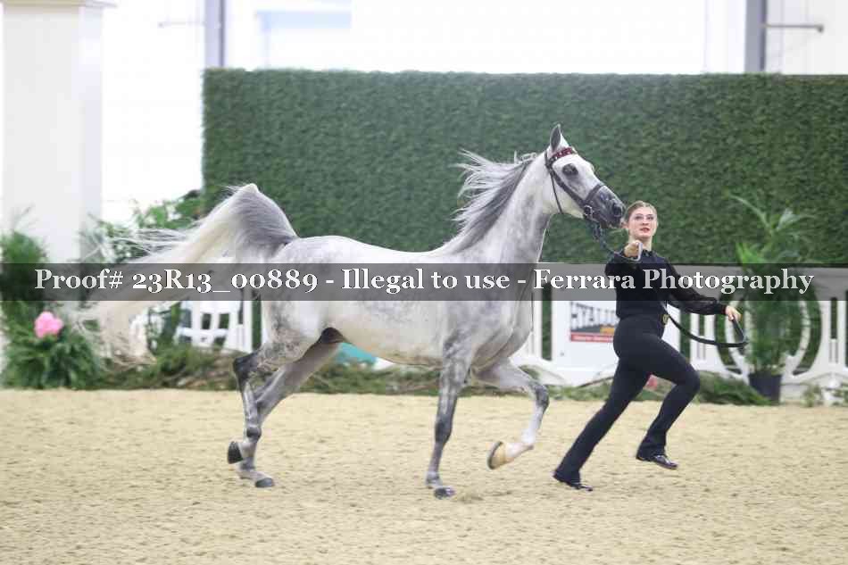 Proof Number 23R13_00889