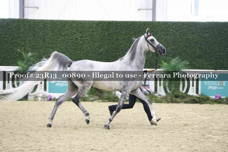 Proof Number 23R13_00890