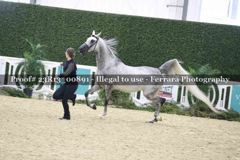 Proof Number 23R13_00891