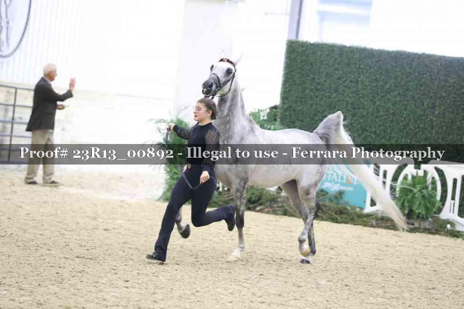 Proof Number 23R13_00892