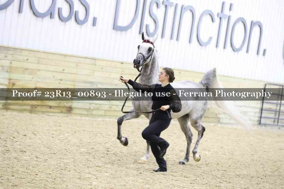 Proof Number 23R13_00893