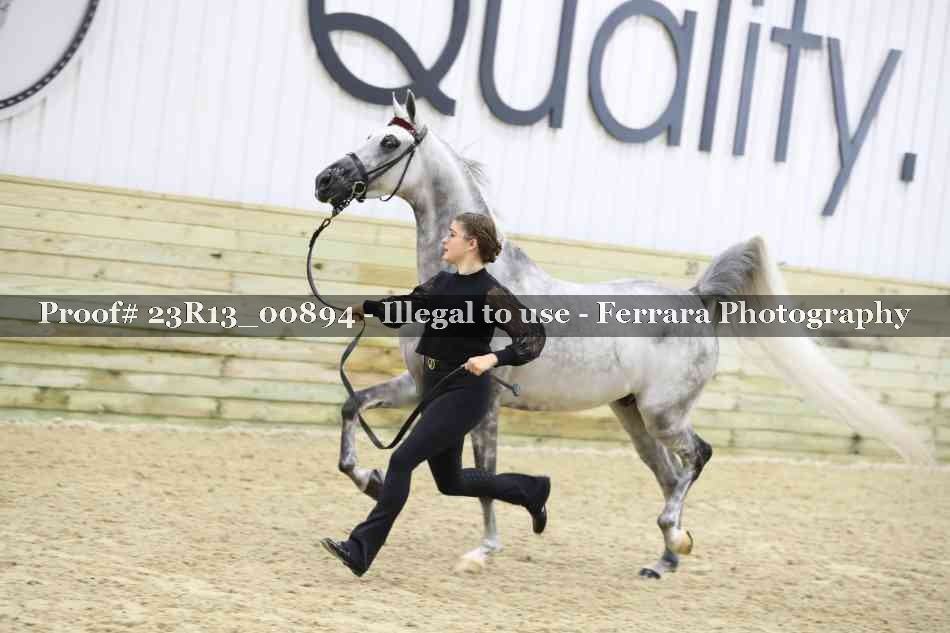 Proof Number 23R13_00894
