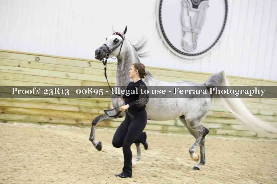 Proof Number 23R13_00895