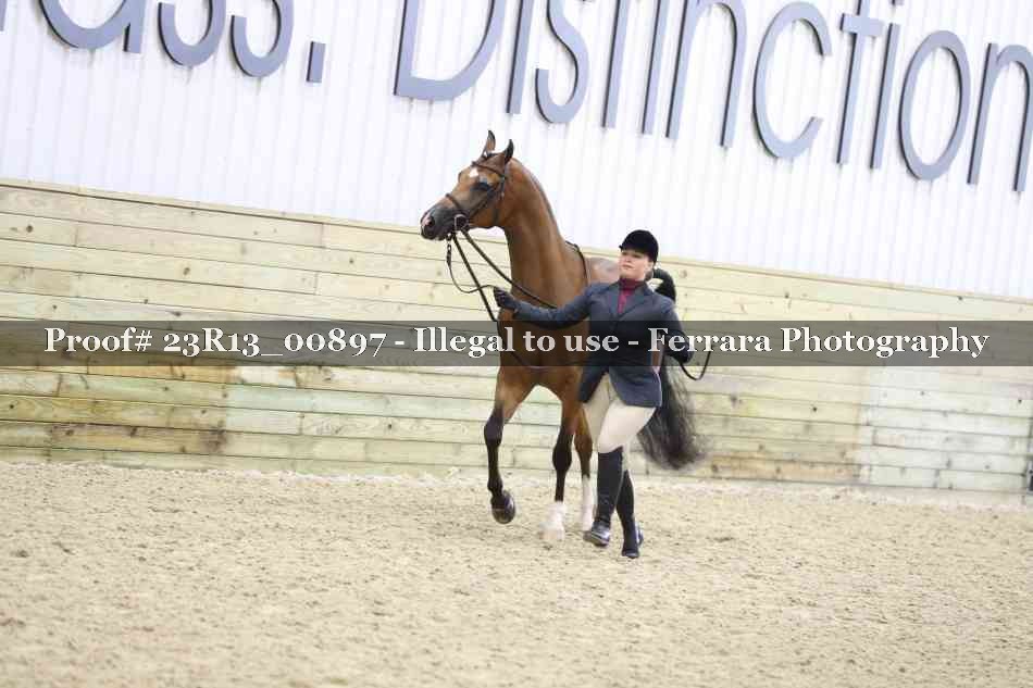 Proof Number 23R13_00897