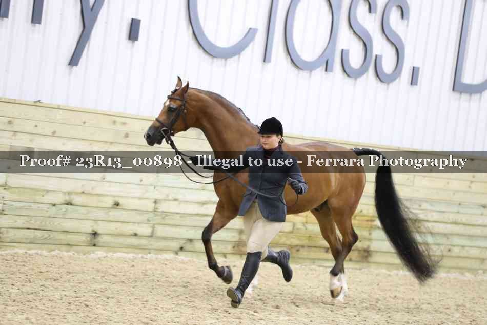 Proof Number 23R13_00898