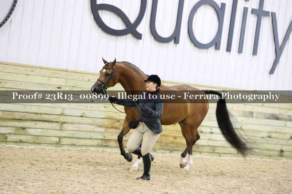 Proof Number 23R13_00899