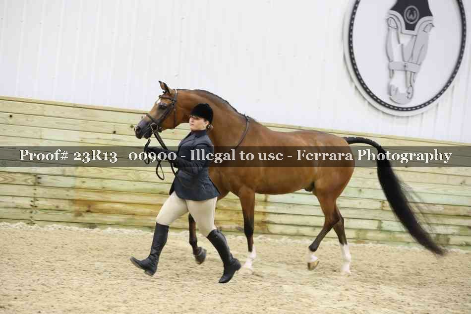 Proof Number 23R13_00900