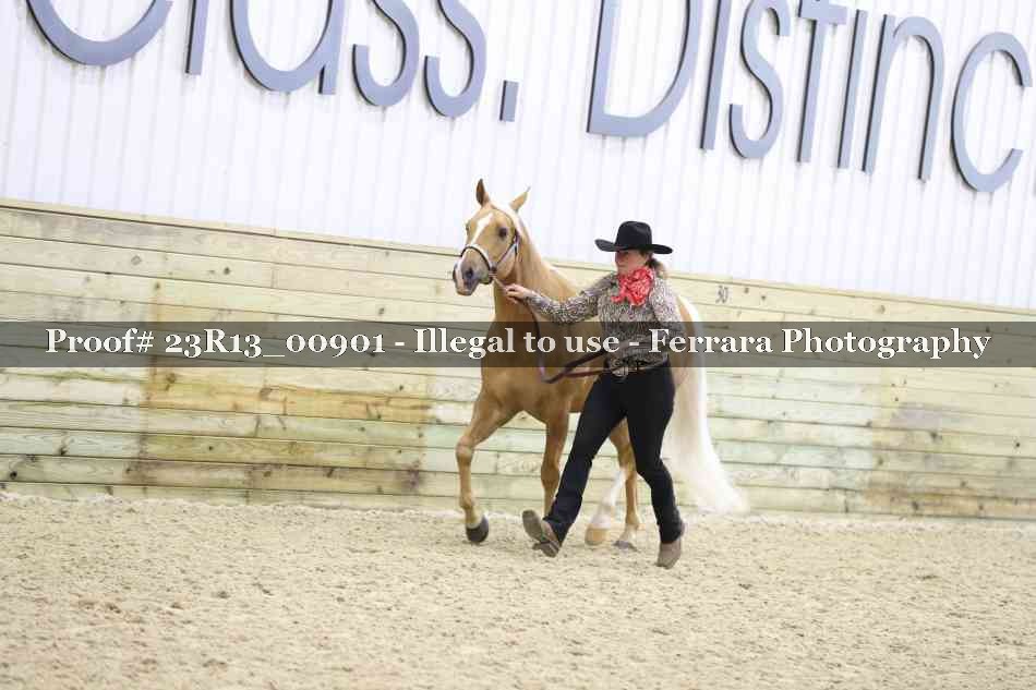 Proof Number 23R13_00901