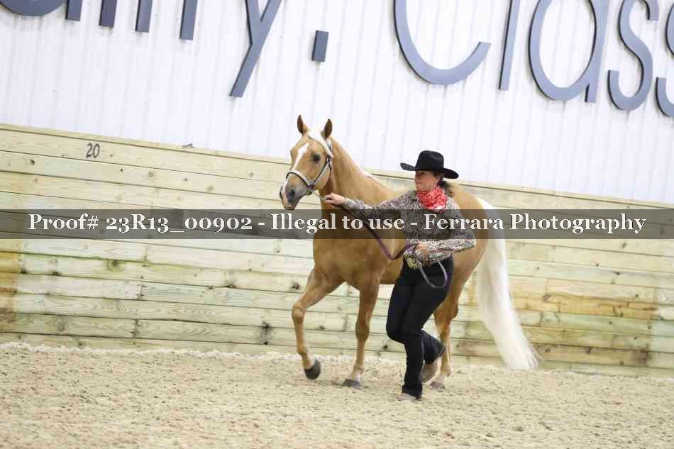 Proof Number 23R13_00902