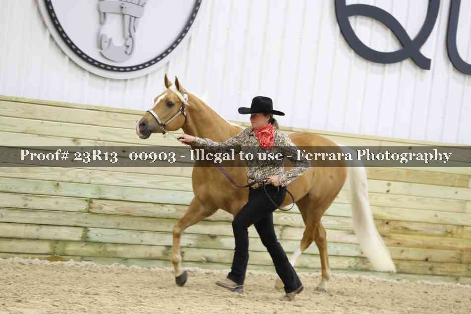Proof Number 23R13_00903