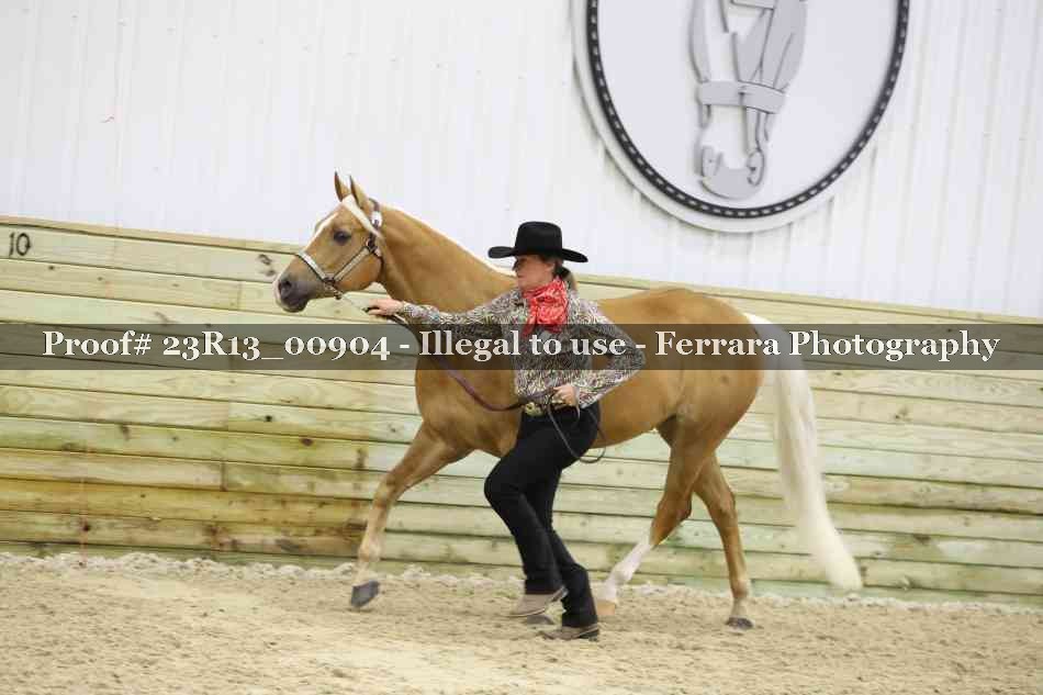 Proof Number 23R13_00904