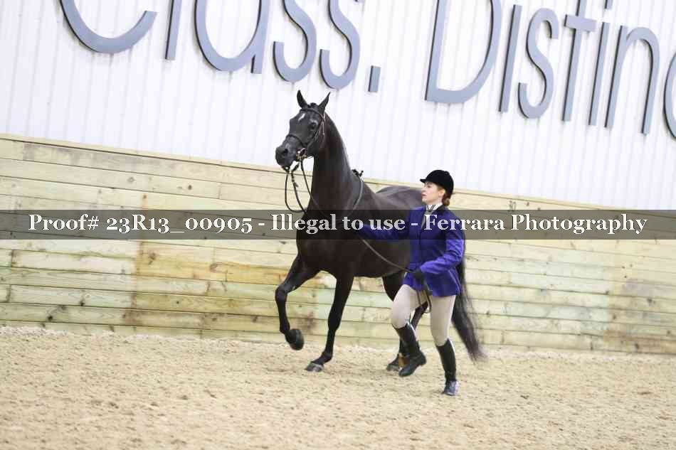 Proof Number 23R13_00905