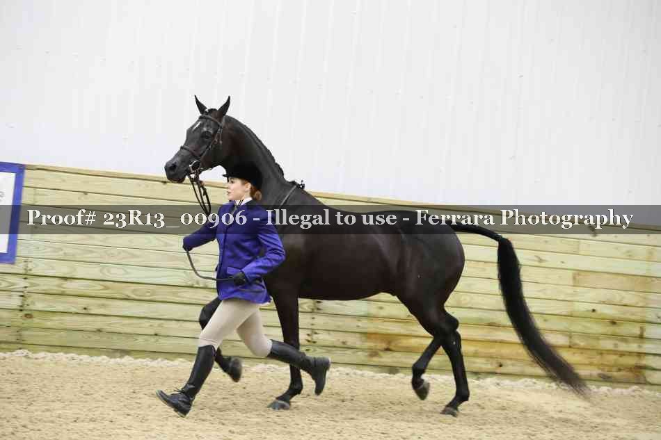 Proof Number 23R13_00906