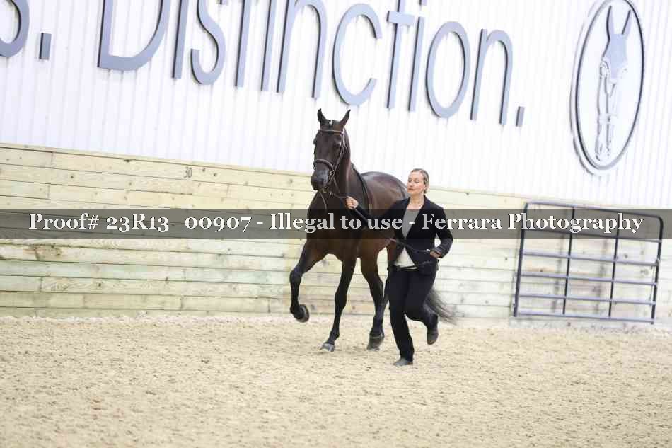 Proof Number 23R13_00907