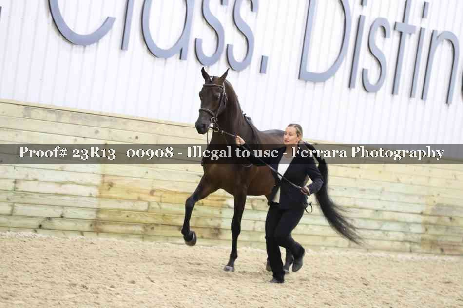 Proof Number 23R13_00908