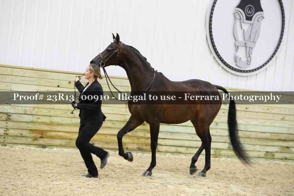Proof Number 23R13_00910