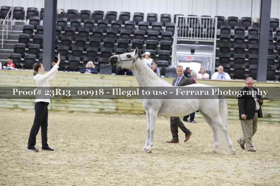 Proof Number 23R13_00918
