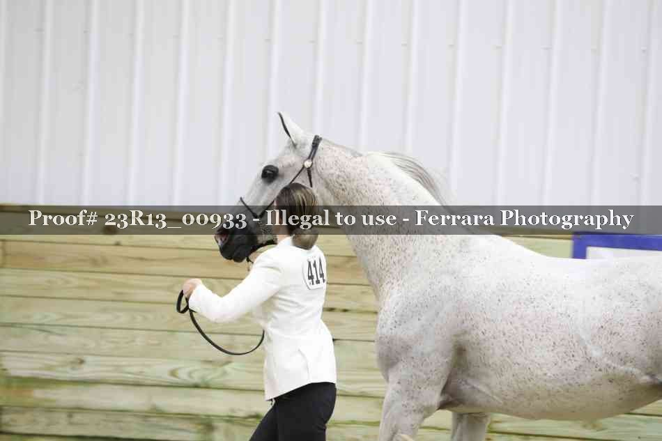 Proof Number 23R13_00933