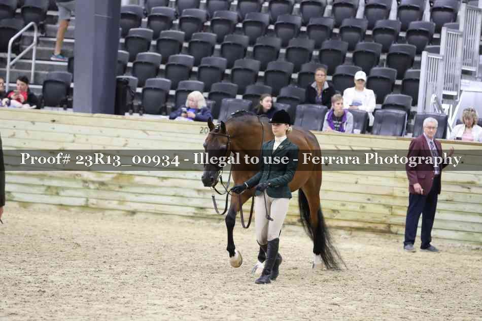 Proof Number 23R13_00934