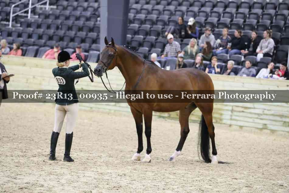 Proof Number 23R13_00935