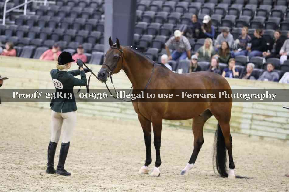Proof Number 23R13_00936