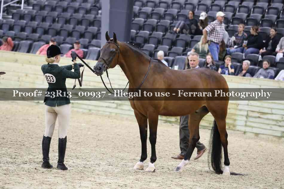 Proof Number 23R13_00937