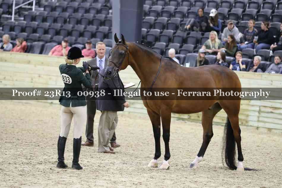 Proof Number 23R13_00938