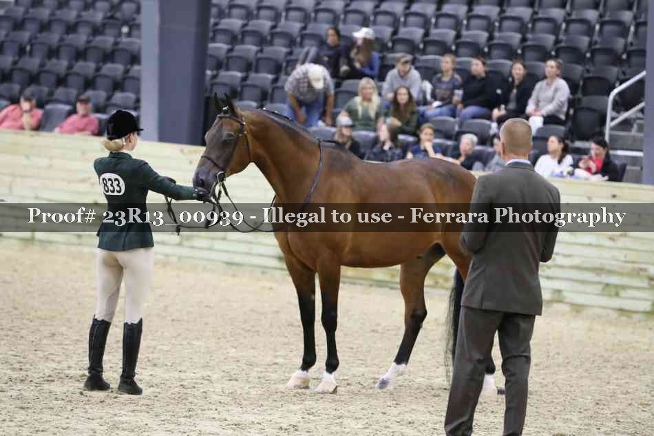 Proof Number 23R13_00939