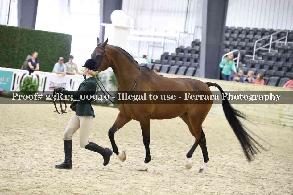 Proof Number 23R13_00940