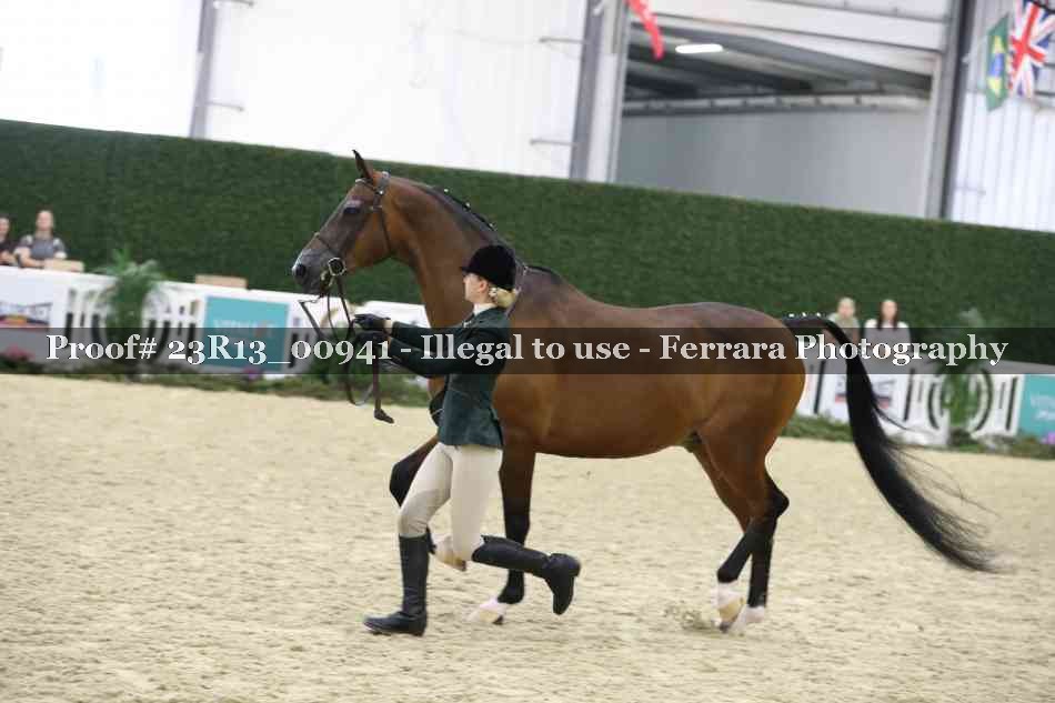 Proof Number 23R13_00941