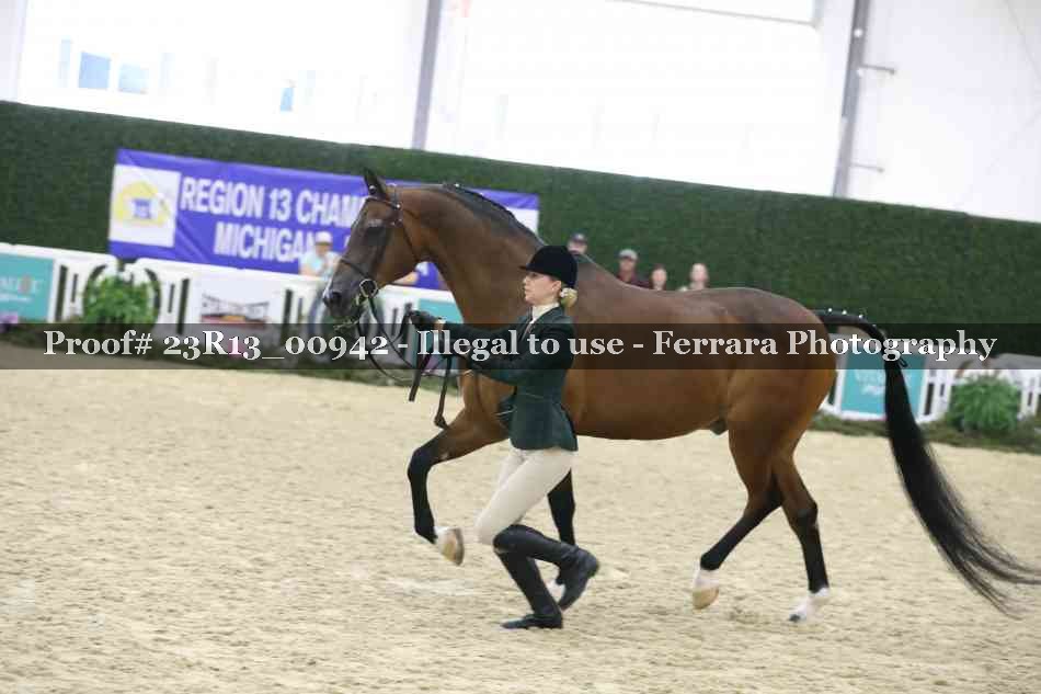 Proof Number 23R13_00942