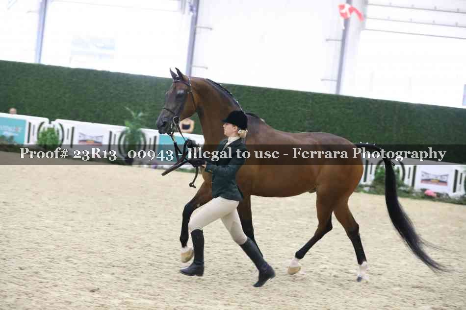Proof Number 23R13_00943