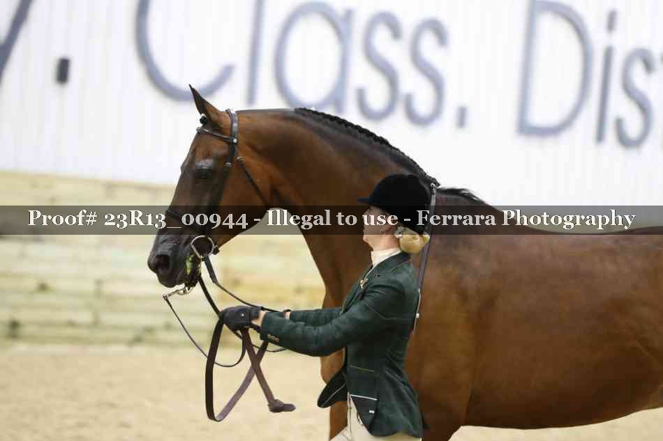 Proof Number 23R13_00944