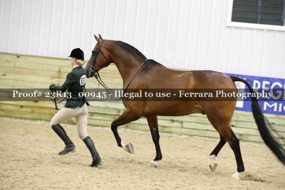 Proof Number 23R13_00945