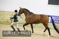 23R13_00945 thumbnail