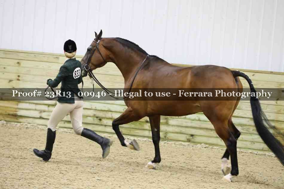 Proof Number 23R13_00946