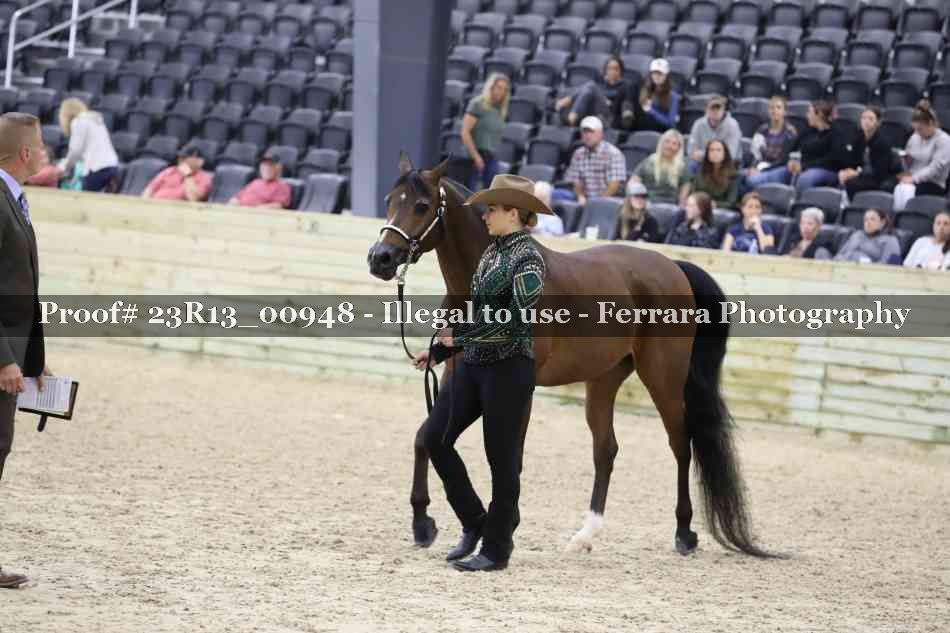 Proof Number 23R13_00948